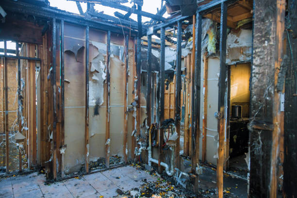 Professional Smoke Damage Removal technician working in Hazel Park, MI